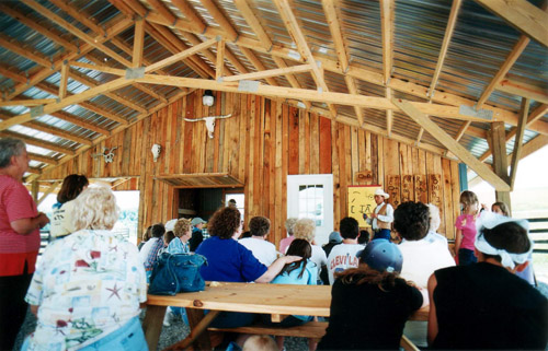 Pavilion entertainment