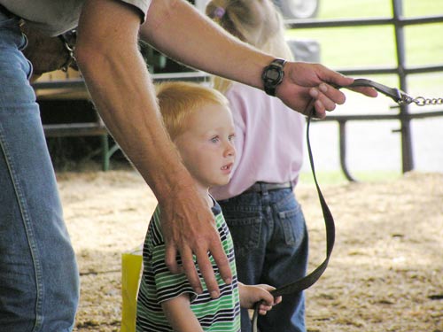 Kids have fun showing Longhorns