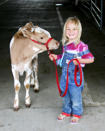 Ranch Animals