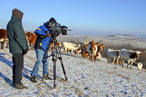 DCCI is a unique site for country documentaries