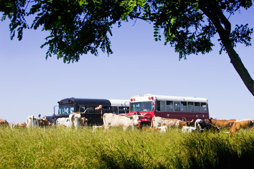 Pasture tour and guests