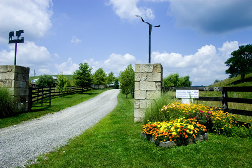 Guest entry gate