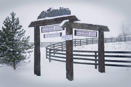 Our Sign on Muskrat Road