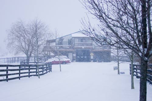 Headquarters of DCCI and office in January