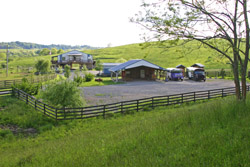 Dickinson Cattle Co and Longhorn Head To Tails Headquarters