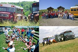 Longhorn Head to Tail Tours of DCCI