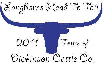 Longhorns Head To Tail Tours