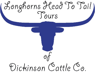 Longhorns Head To Tail Tours