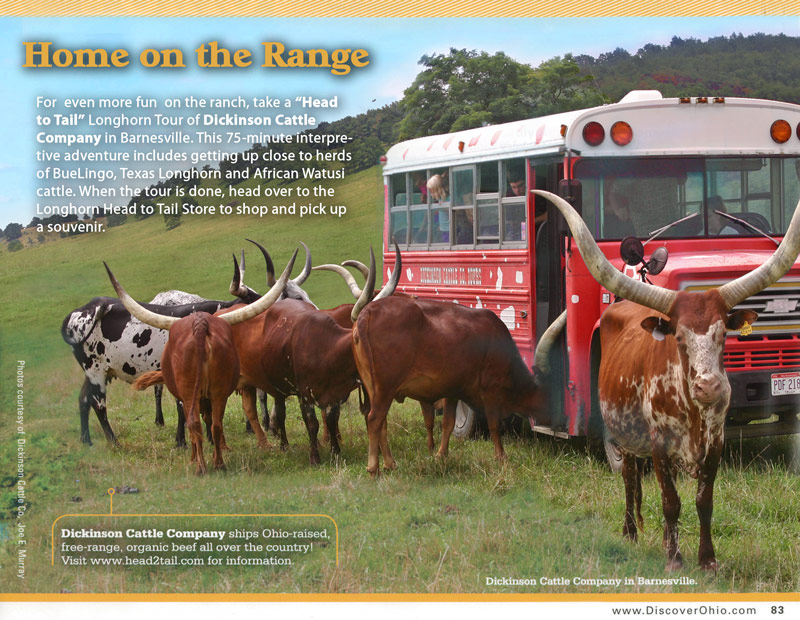 Longhorn Head To Tail Tours
