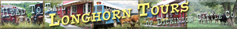 Head To Tail Longhorn Tours of Dickinson Cattle Co.